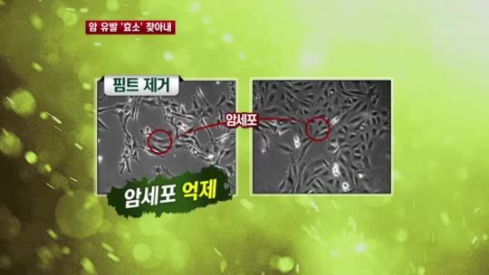 암 일으키는 몸 속 효소 찾아내