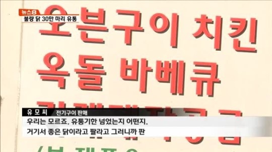 불량닭 30만 마리 호프집·노점상 등에 팔려나가