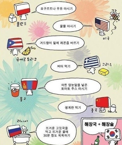 나라별 해장 방법 우리나라는 해장국에 해장술이 진리!