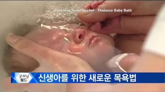 [굿모닝 월드] 비닐 팩에 담긴 강아지 학대 논란