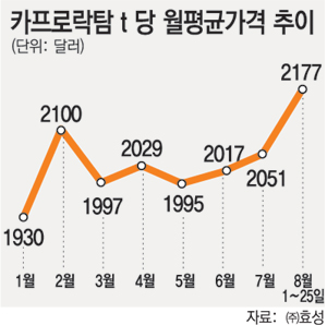  주식차트 사진