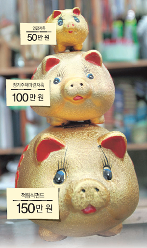 골드미스의 황금돼지를 위한 황금분할