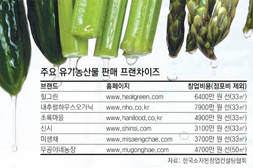[프랜차이즈풍향계]<3>친환경 농산물 판매점