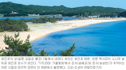 [Travel]‘그분’들도 즐겨찾던 동해비경… 강원도 화진포 여행