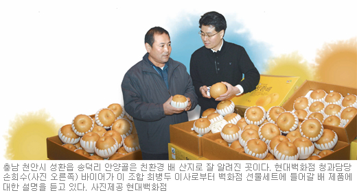 [선물특집]백화점 청과 담당 바이어의 명절용 ‘명품과일’ 찾기