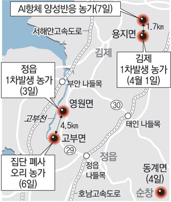 정읍 오리농장도 고병원성 AI