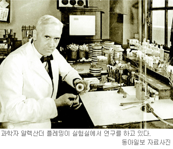 [理知논술]독서로 논술잡기