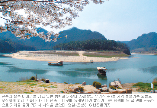 [코리안 지오그래픽]역사의 땅 영월을 가다