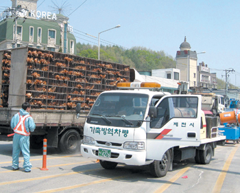 [미래로 뛰는 지방자치]<3> 충북의 명품산업 ‘청정 축산’