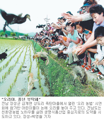 [미래로 뛰는 지방자치]<7>‘친환경농업 메카’ 꿈꾸는 전남