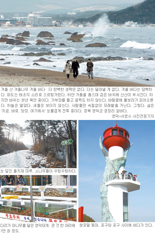 [김화성 스포츠전문기자의 &joy]동해안 대진∼강구 포구 걷기