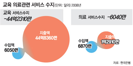 병원-학교 ‘주식회사 허용’ 이달말 결론