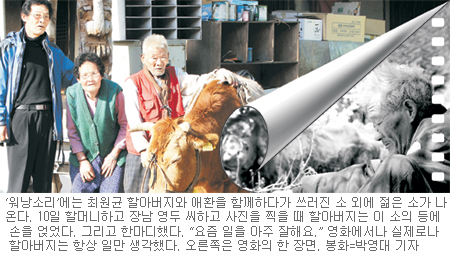 ‘워낭소리’ 노부부 자녀들 ‘한숨소리’