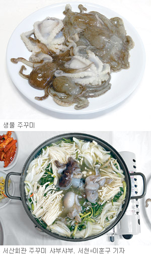 [아하, 이맛!]살짝살짝 데친 주꾸미, 입속의 밥알 톡톡 터진다