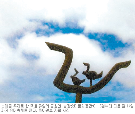 [충북]인간과 하늘의 소통…솟대， 그 신비함 속으로