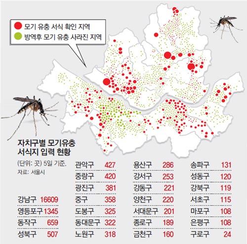 서울시내 방역 제대로 되고 있나… 市‘모기 관리지도’ 첫 공개