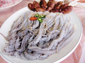 [아하, 이맛!]갯벌을 닮은 우리 낙지… ‘올드보이’처럼 한 입에