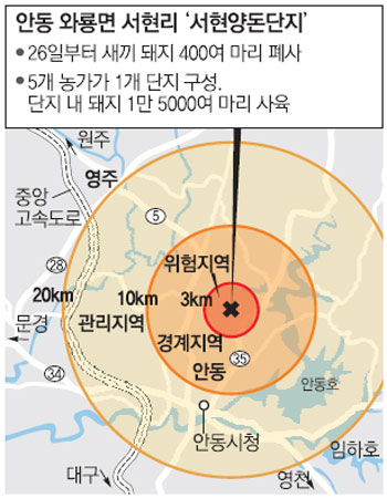 이번엔 안동서… 올 들어 세번째 구제역