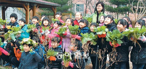 [수도권]“텃밭 채소 뽑았다, 학교 점심 맛있다”