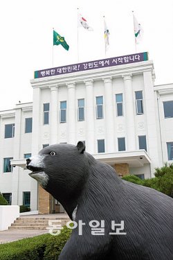 [강원]‘강원도지사-양양군수-태백시의원’ 오늘 재·보궐선거