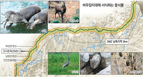 DMZ ‘유네스코 생물보전지역’ 9월 신청