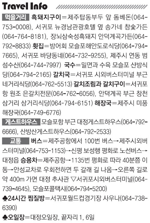 [김화성 전문기자의 &joy]제주 추사 유배길 걷기