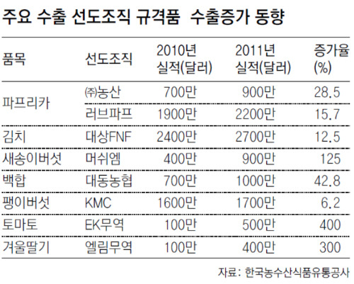 농산물 수출 1등공신 ‘선도조직 20곳’ 성공비결 들여다보니