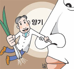 [헬스&뷰티/이상곤 박사의 맛있는 동의보감 이야기]<1>매콤한 대파 먹고 감기 뚝!