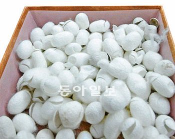 [O2/식품 호기심 천국]효소-산으로 분해 가공하면 실크-머리카락도 섭취 가능