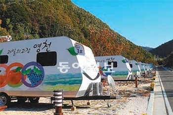 영천 구룡산 오토캠핑장