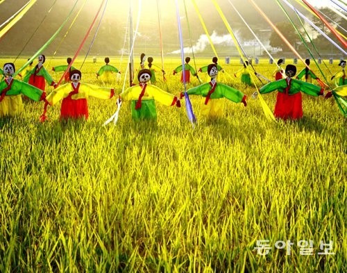 [푸른 전남&명품 쌀]농약-화학비료 안쓰고 ‘우렁이 농법’… 최고 청정미 생산