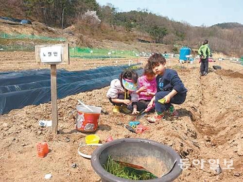 [인천/경기]새싹이 파릇… “주말농장 분양 받으러 가요”