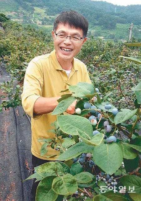 [대전/충남]“블루베리, 몸에도 베리 굿 입니다”