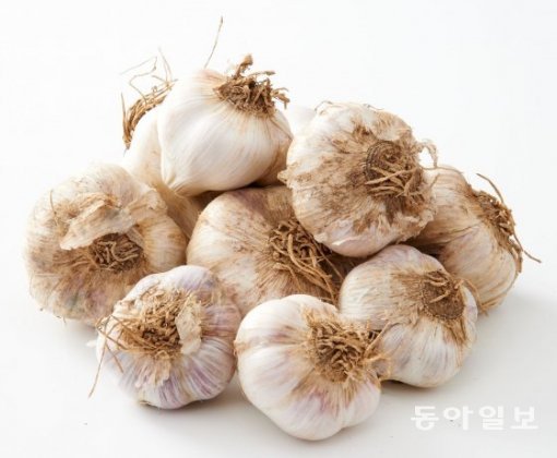 환절기 면역력 강화식품, 마늘의 효능을 가르켜 일해백리(一害百利)라 부르는 까닭?