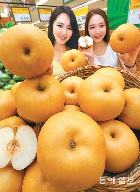 “풍성한 햇배 나왔어요”
