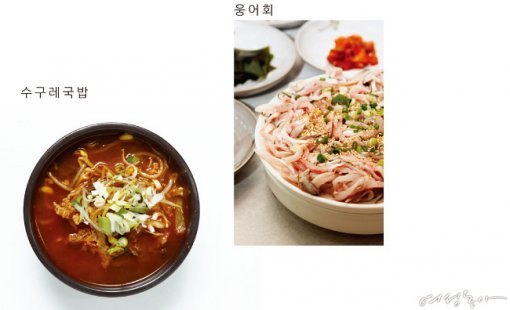 봄처럼 강물처럼 마음은 너울거리고 창 녕