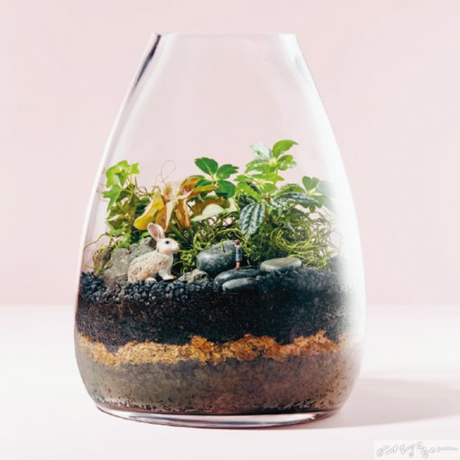 작은 병, 커다란 정원 Terrarium