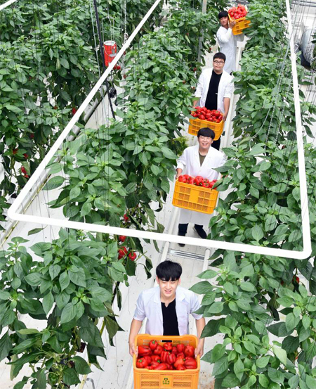 [청년드림]연암대, 스마트 농축산 교육 산실로