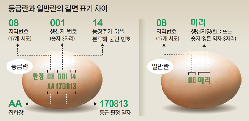 “우리집 계란엔 숫자가 왜 5개밖에 없나요”