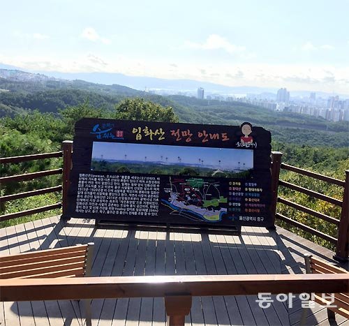 전망대 조망 가리는 입간판에 눈살