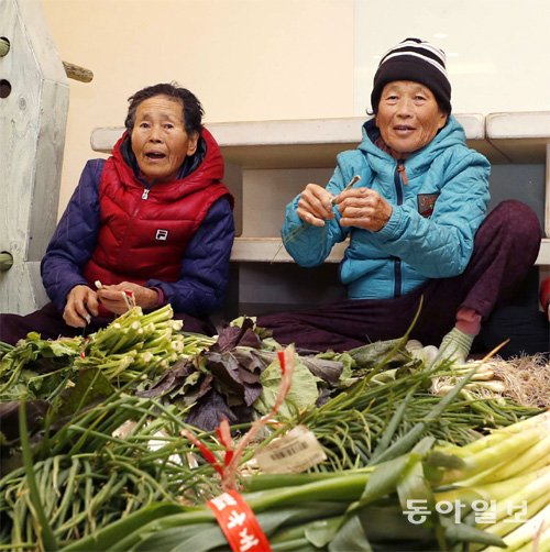 배우며 나누는 80대의 ‘청춘살롱’