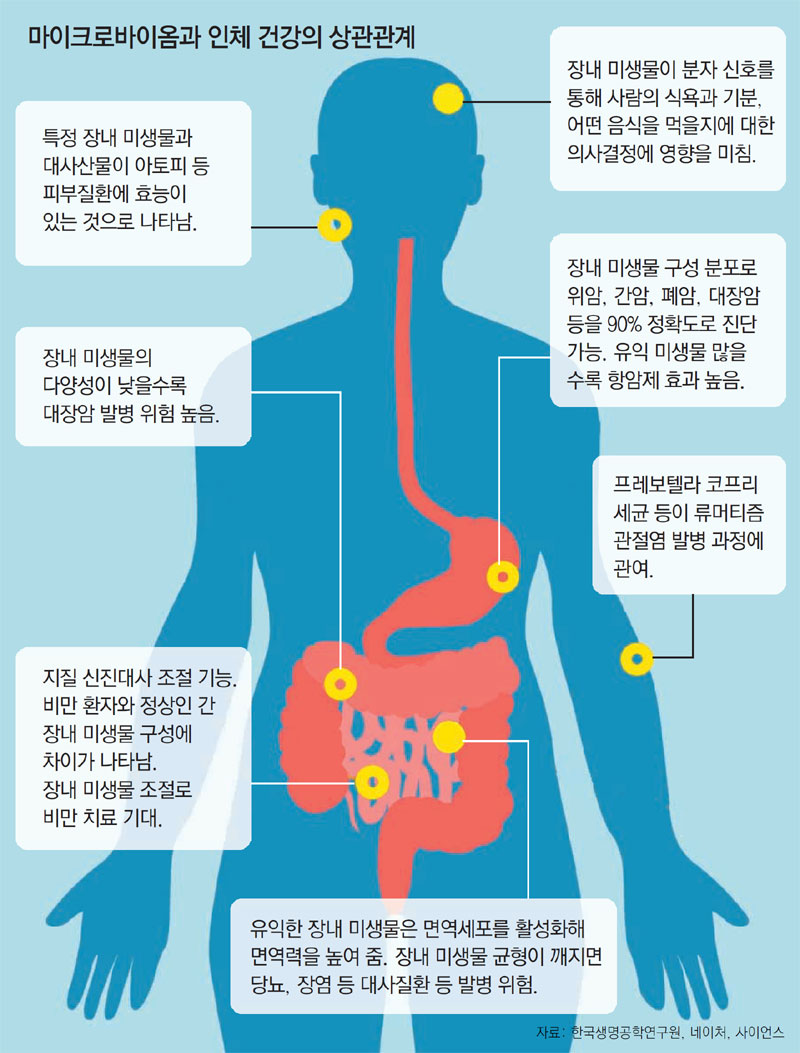 비만-아토피-암… 腸 속 ‘착한 미생물’로 치료한다