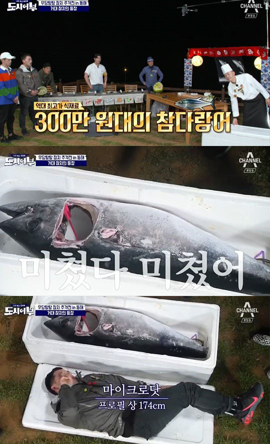 ‘도시어부’ 마닷 몸집과 맞먹는 ‘300만원대’ 초대형 참치…‘만수르급 먹방’