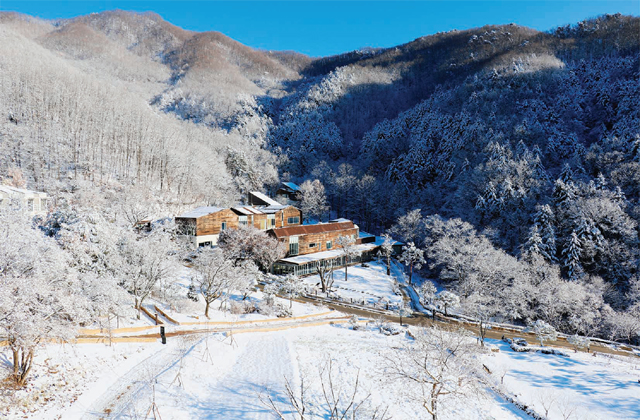 힐리언스 선마을, 2019 새로운 시작을 위한 겨울 스테이