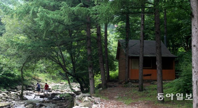 유명산자연휴양림 ‘자생 식물원’ 8월 1일부터 야간 개장한다