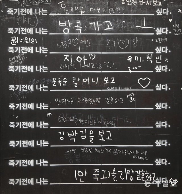 담벼락 버킷리스트[고양이 눈]