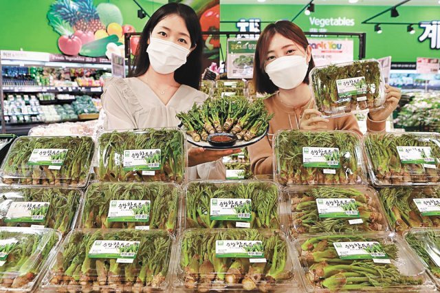 “제철 채소, 참두릅 어떠세요”