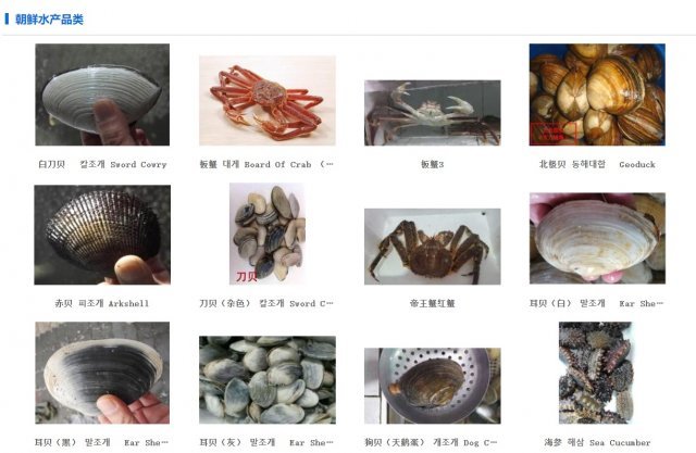 [단독]北 해산물·그림… 수출 금지 품목인데 온라인서 버젓이 판매