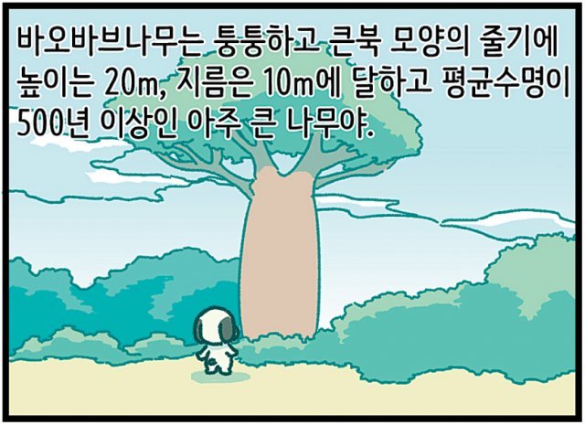 [신문과 놀자!/고독이의 토막상식]바오바브나무