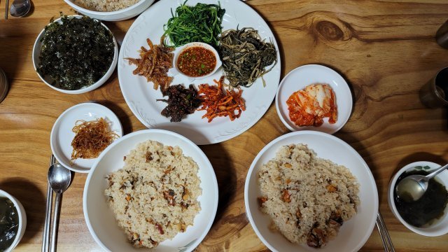 생명력 넘치는 원시림 계곡, 울릉도 심해 물고기와 ‘밀당’[전승훈 기자의 아트로드]